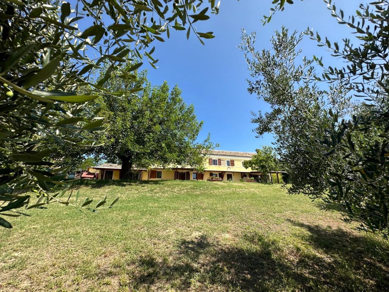Casale Casini Soccorso Hostal Senigallia Exterior foto