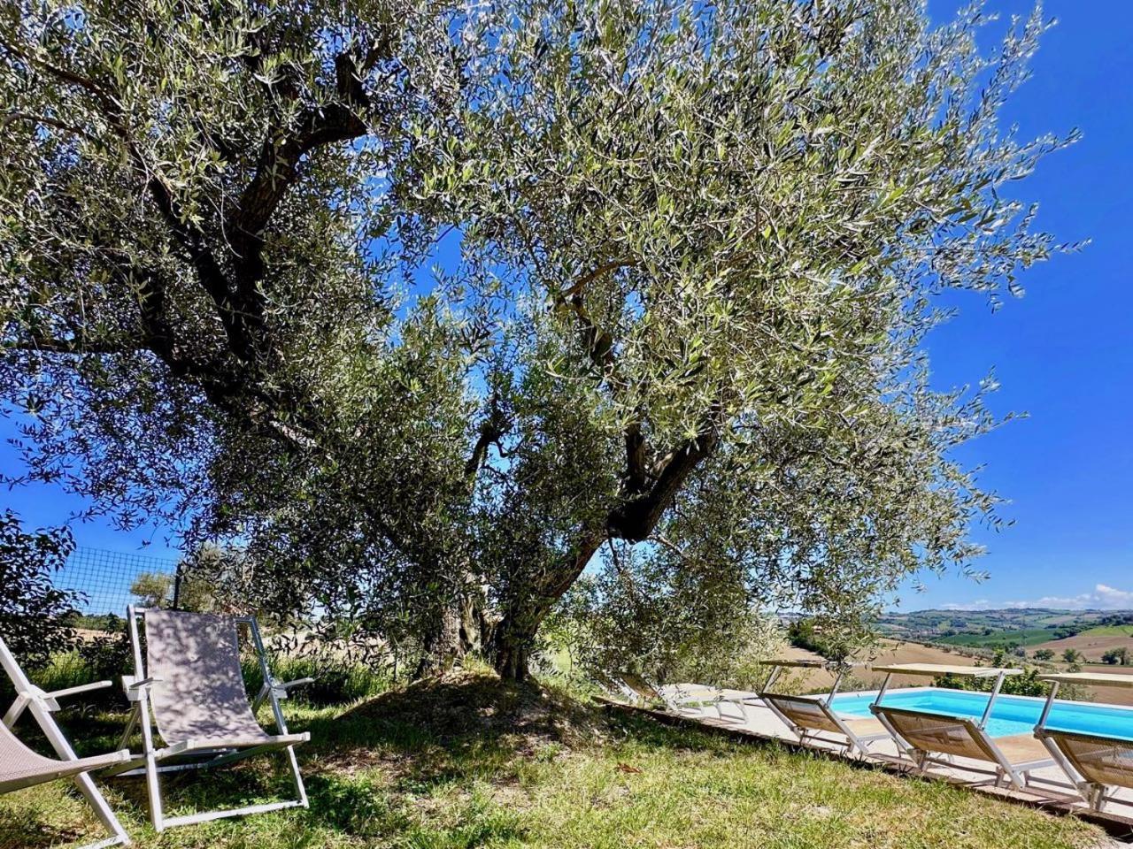 Casale Casini Soccorso Hostal Senigallia Exterior foto