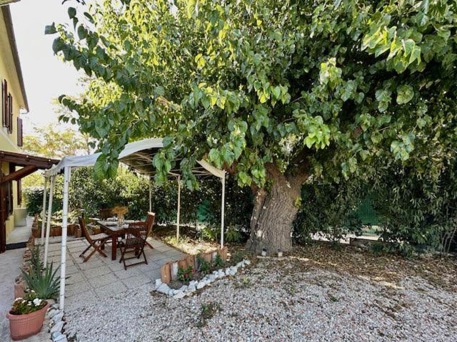 Casale Casini Soccorso Hostal Senigallia Habitación foto